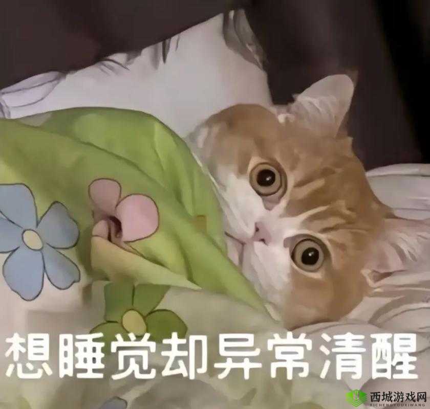 男生半夜不睡觉偷偷看 B 站