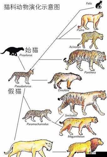 通神榜毒纹猫杀手2解锁攻略：如何解锁毒纹猫杀手角色？