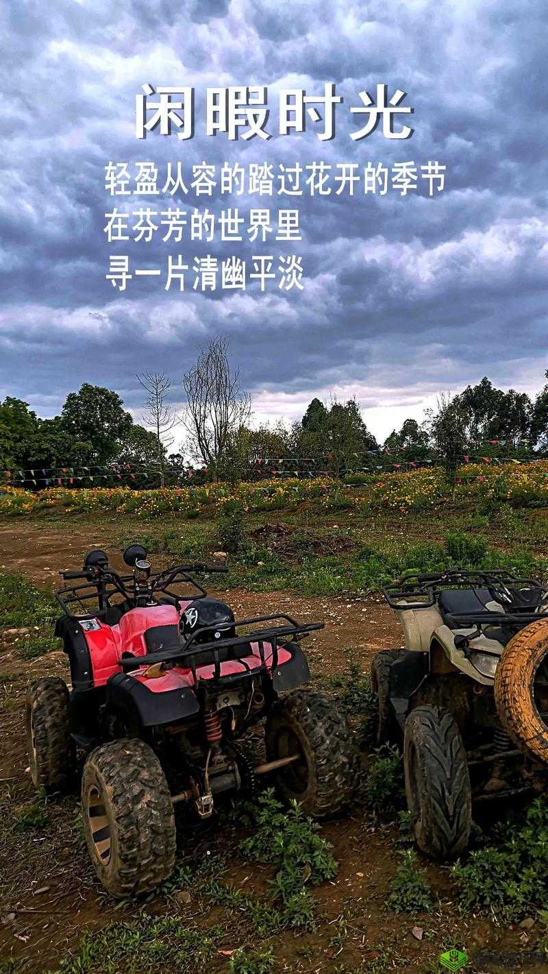 舌头一路向下游走：探索未知的秘密