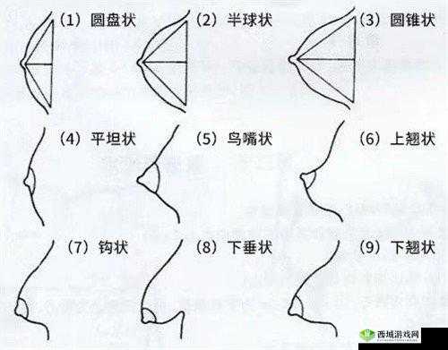 奶头好翘是想要了吗：一种身体反应的探讨