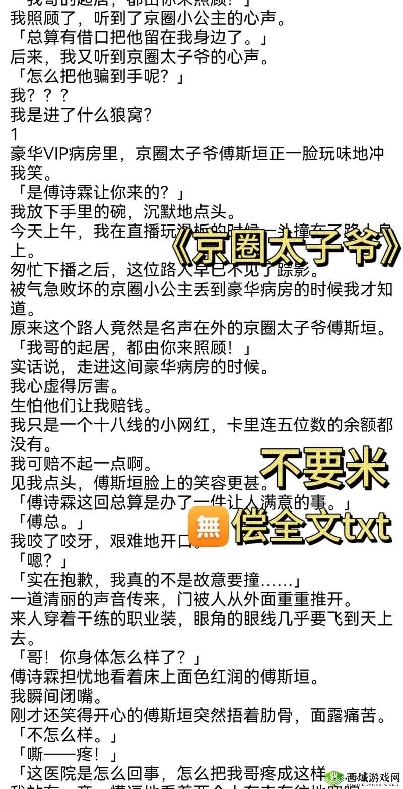 太子发疯地撞着公主的小说：后续发展意想不到