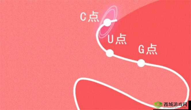 怎样自 w 到高 c 的方法及图片示例