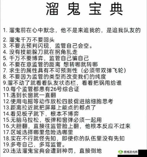 双枪小帅全面解析：属性特征获取方法及实战攻略宝典