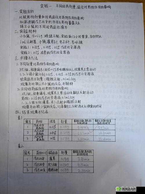 我的起源流星碎片作用与获取途径全解析