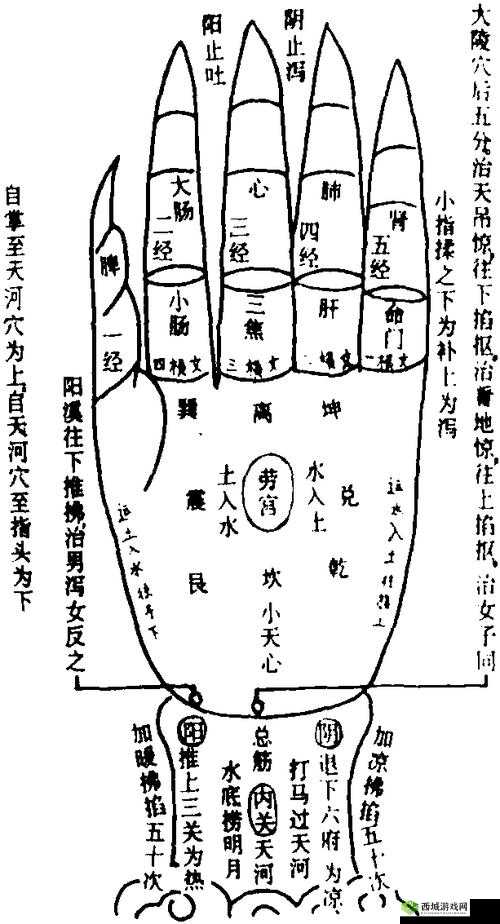 《大掌门甲级武功天山阳掌图鉴》