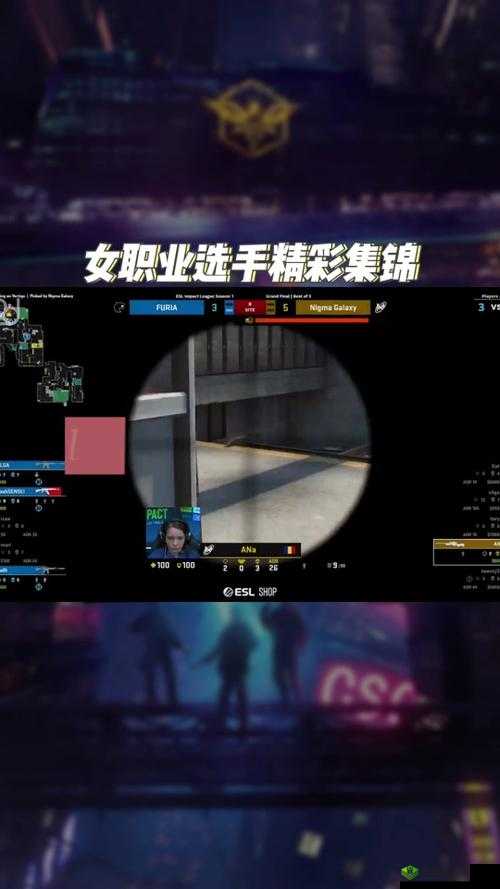 csgo 免费观看网站入口：精彩赛事等你看