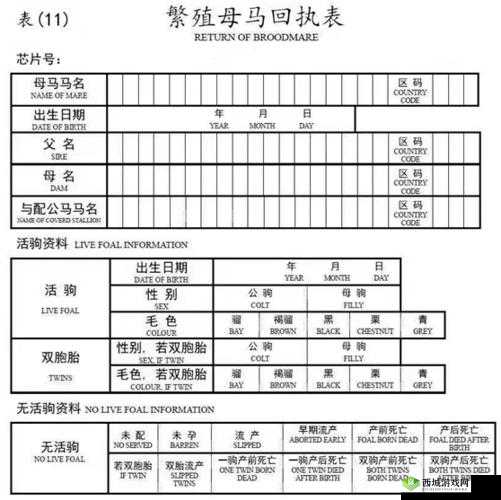 《燕云声》抢来的马匹登记方法详解