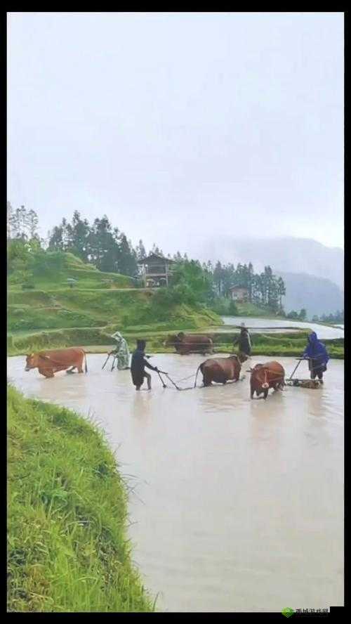 趁父不在：子代父职耕亩田