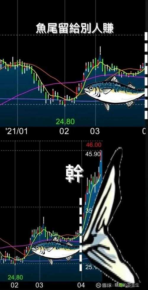 免费的行情网站 v1781-你的最佳选择