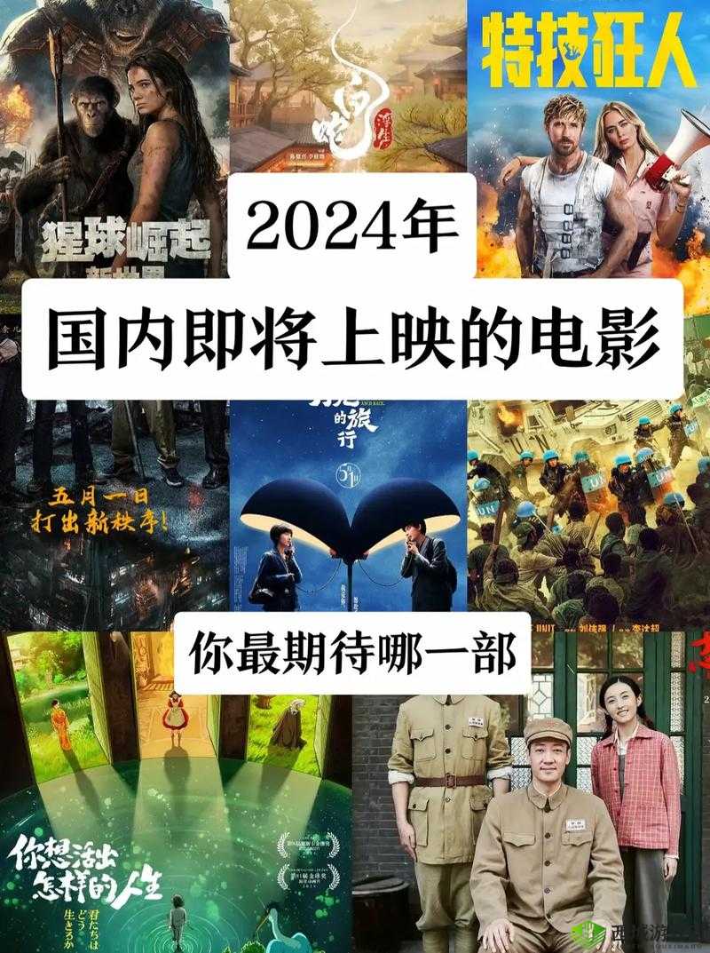 2024 年中国产电影佳作盘点：年度电影之光