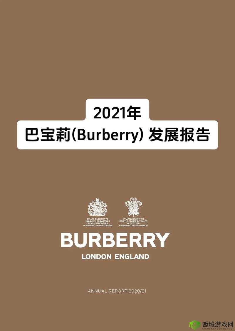 BURBERRY 中文免费版：尽享奢华时尚体验