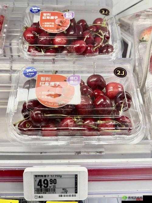 国产精品久久久久久精品香蕉：品质之选