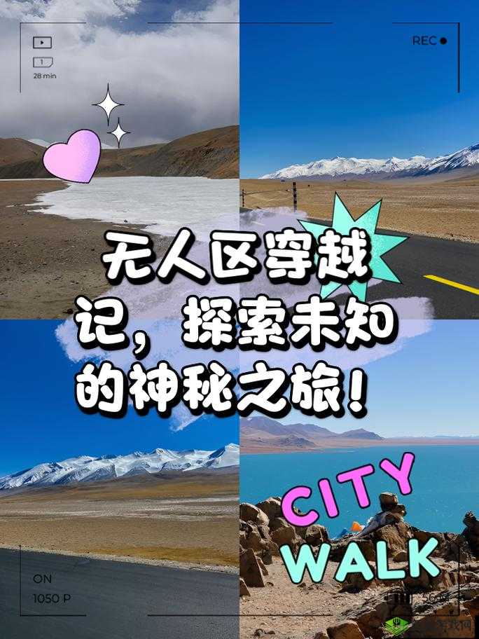 无人区码一码二码三码网页：探索未知的冒险之旅