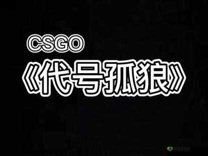 老婆不在家一人玩 CSGO 倍感寂寞