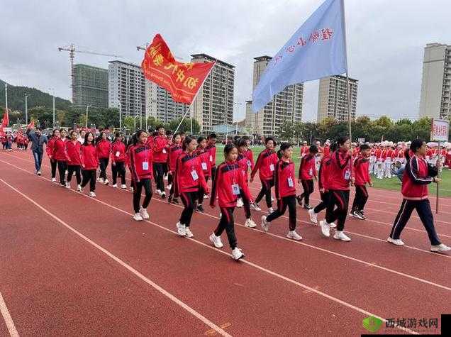 超级凌乱的校园运动会为何有：一场充满惊喜与挑战的体育盛宴