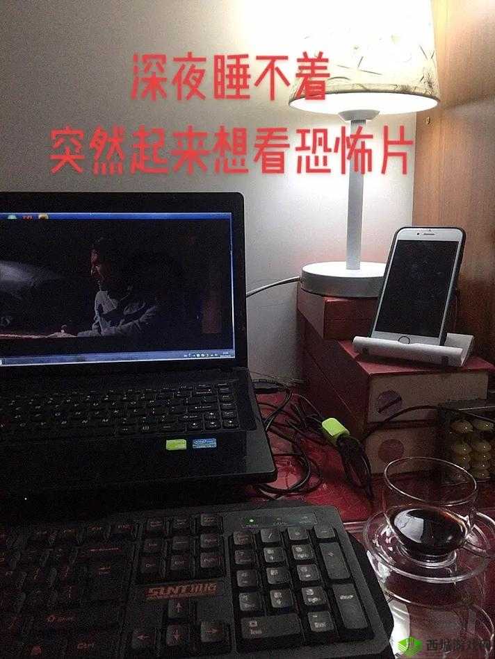 晚上睡不着，偷偷看 B 站直播软件，看到停不下来