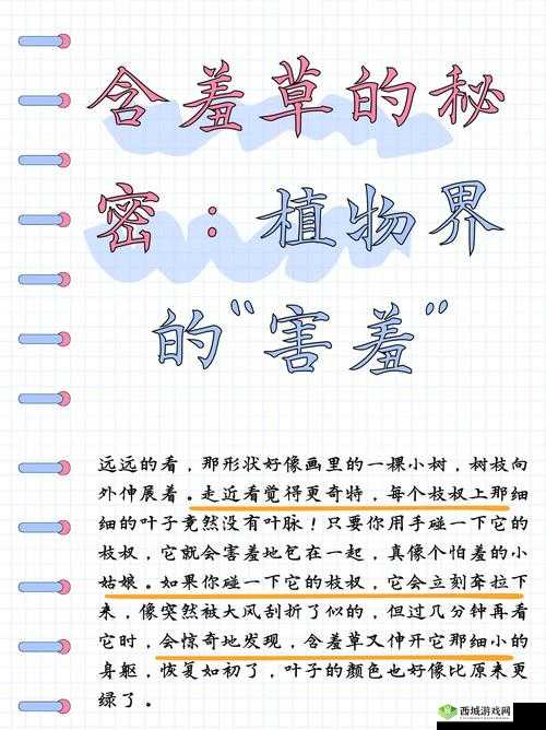 含羞草文化传媒最新版：内容丰富、功能强大，带给你不一样的视觉体验