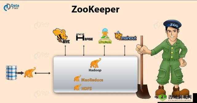 Zoom 美国 Zookeeper 打得开了吗：对其能否正常使用的探讨与分析