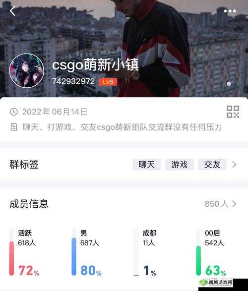 暴躁 CSGO 女性火爆全网：其背后原因及引发的广泛讨论