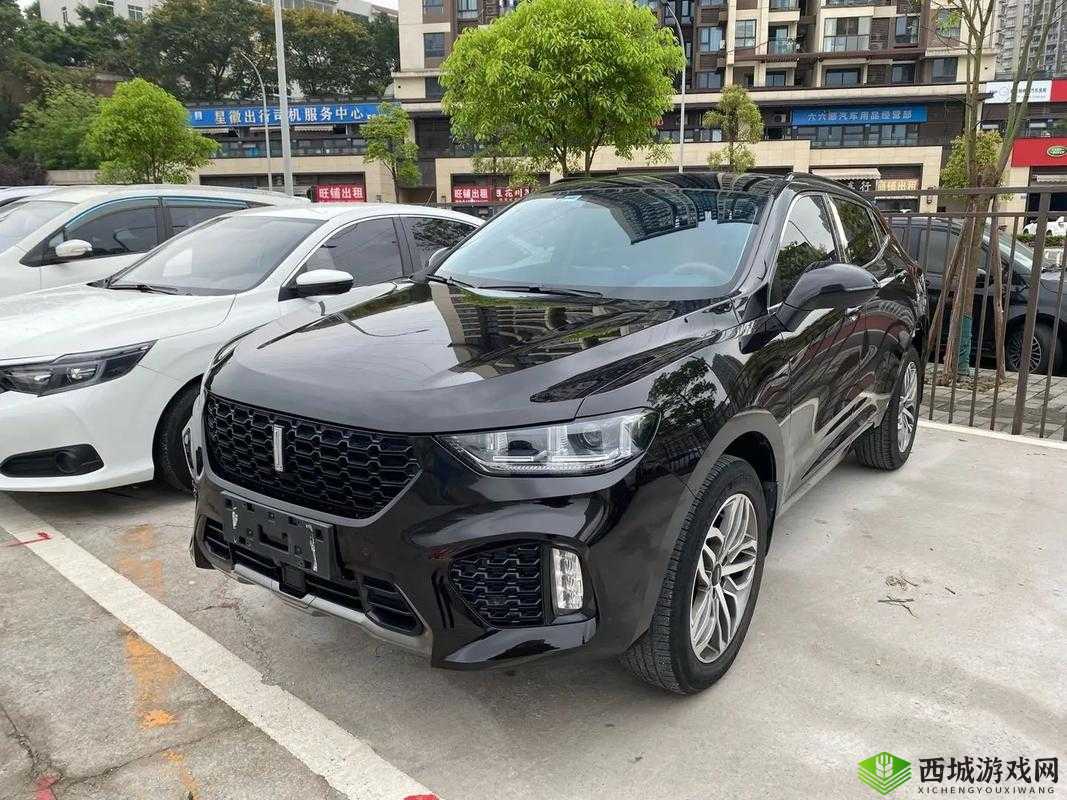 WEY VV5 国产 SUV 魅力尽显：精彩视频全呈现