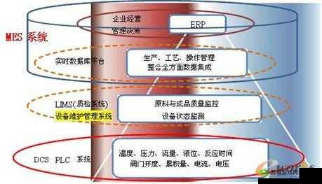 关于完整性盈盈网站的相关内容探讨与呈现