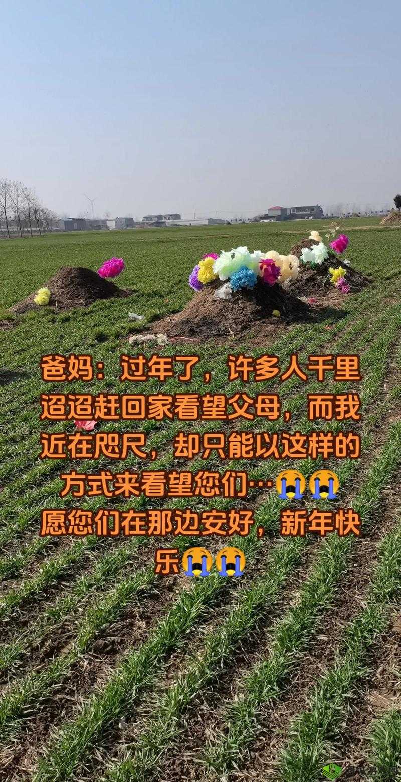 回娘家爸爸要求哪个这其中的具体条件和细节究竟是什么