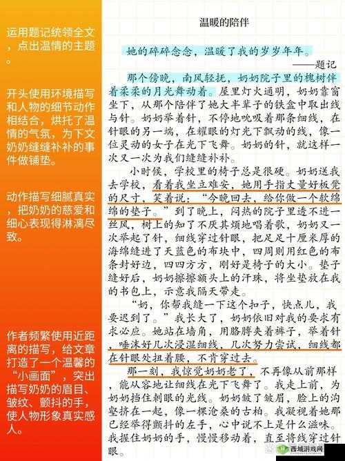 近相亲祖母 60 免费：跨越年龄的温暖亲情故事