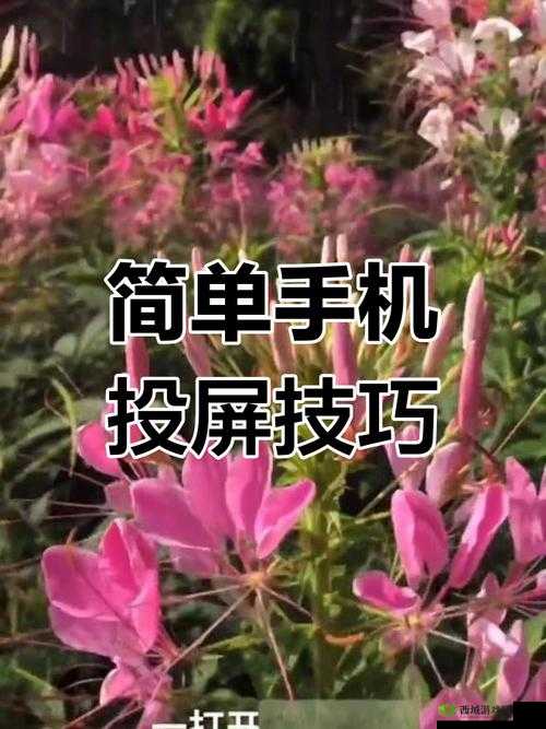 手机电视高清版下载安装详细教程及步骤