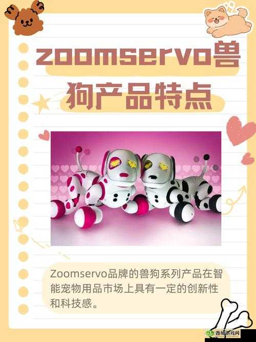 兽王ZOOMSERVO 兽狗产品优势：性能卓越品质可靠功能多样