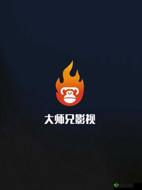 大师兄影视在线观看：优质影视资源，畅享视觉盛宴