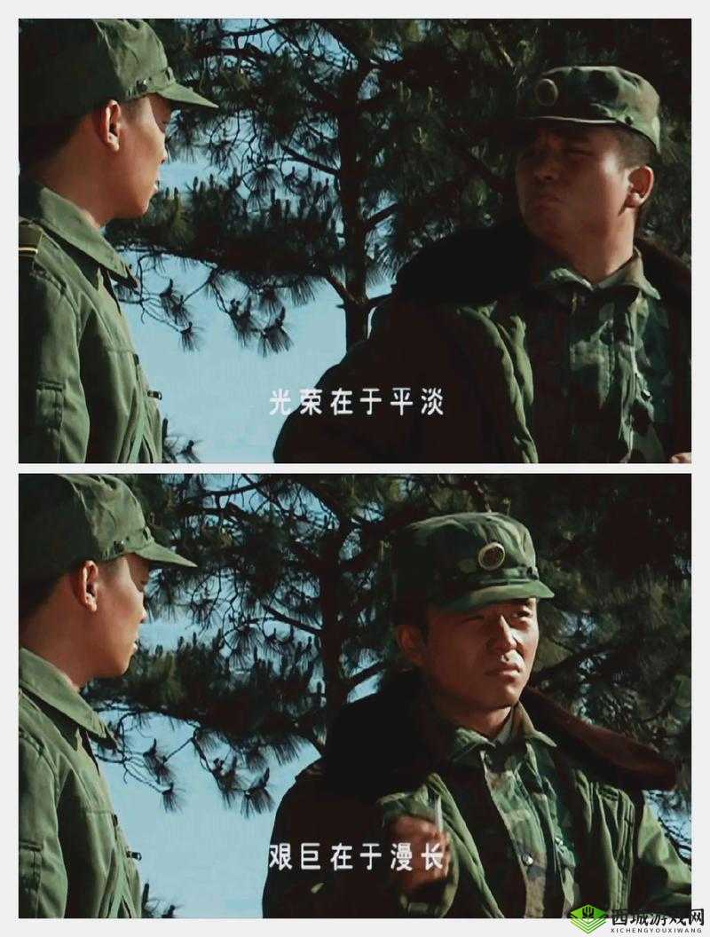 高清 DVD 碟片生活片：记录平凡日子中的精彩瞬间