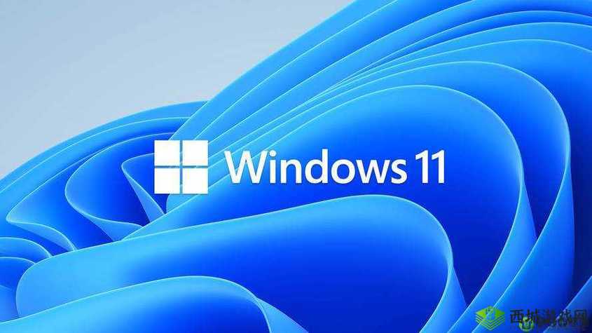 喧闹高清 Windows 免费版：一款超好用的软件等你来体验