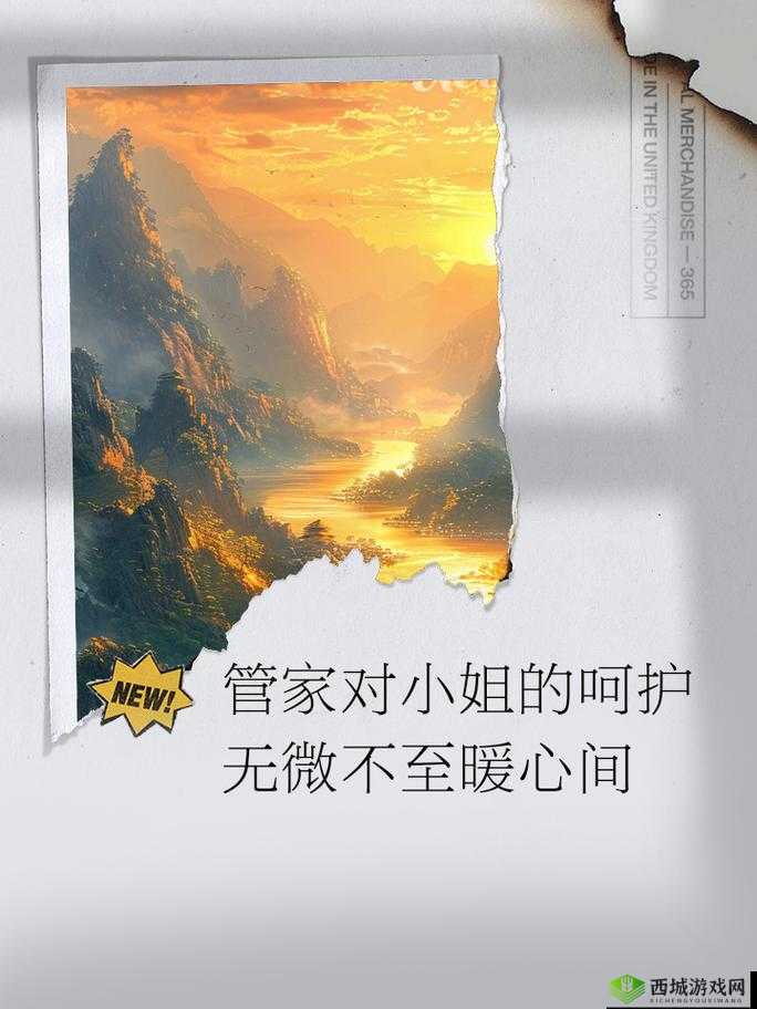 纯净呵护：带来全方位无微不至的贴心关怀