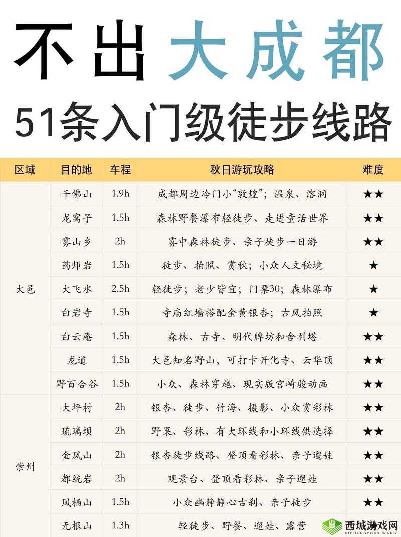 M 圈的 100 个任务及着装：探索其背后的独特魅力与价值