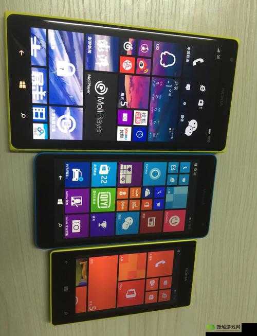 日本windowsphone 中国：关于其在特定领域的发展与前景探讨