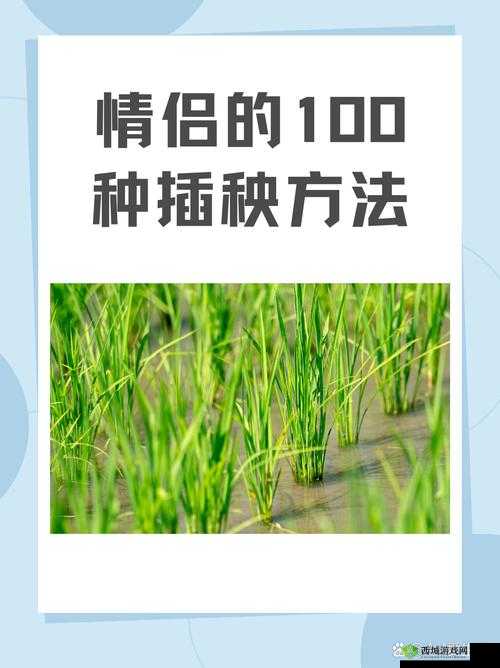 夫妻插秧 100 种方法图片全展示及详细解析