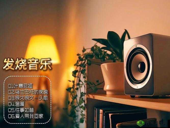 声声入魂 hifi：带你领略极致音乐体验的魅力世界