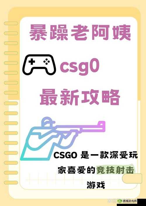 暴躁老阿姨 CSGO 世界：游戏中的热血激战与独特风采