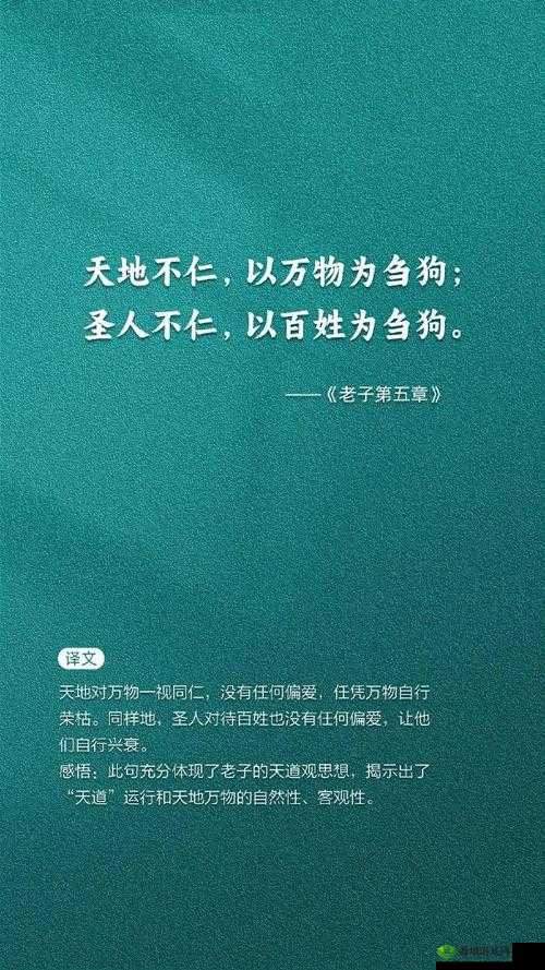 给老子叫老子喜欢听——展现独特个性与自我表达