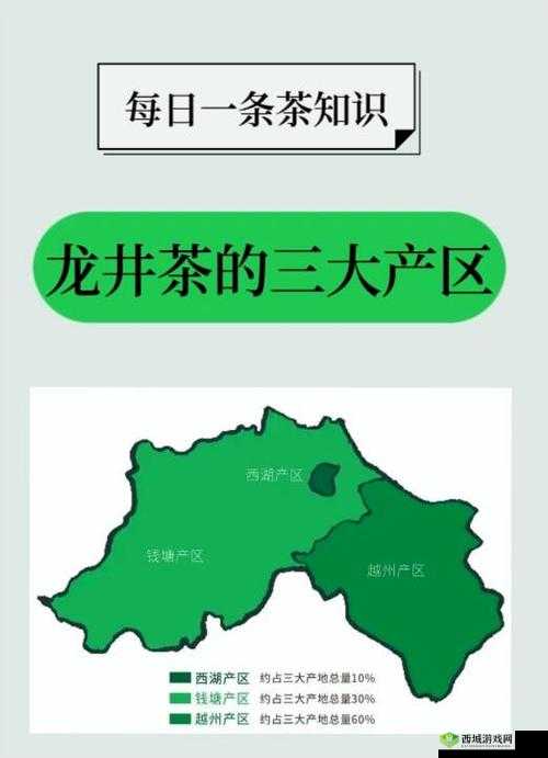 国产产区一二三产区区别在线：深入剖析各产区的特色与差异