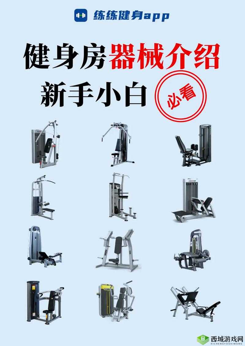 鸿图之下器械种类及其作用全面解析与介绍攻略