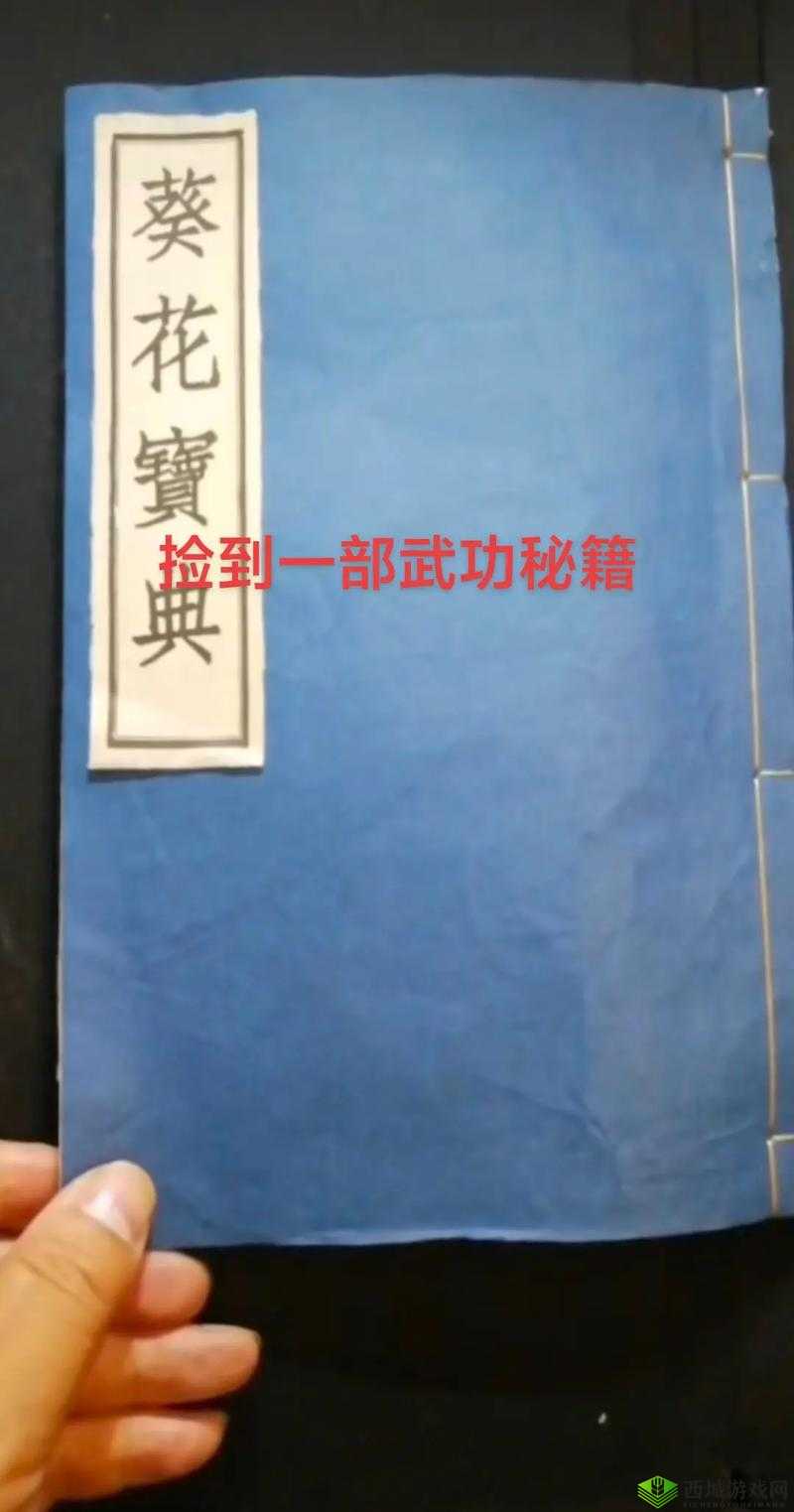 揭秘我的侠客中赤刀神功，解锁与修炼绝世武功的终极秘籍