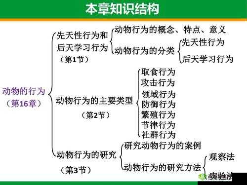 悠长假期里，如何提升动物好感度？作用、方法及深层意义全解析