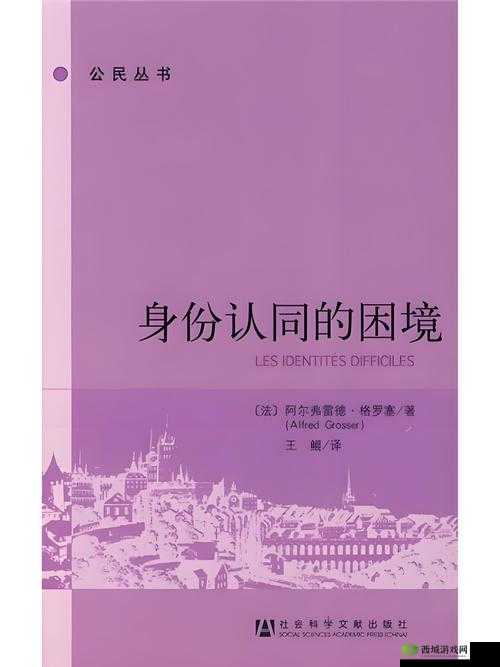 在日本的韩国人生活现状：文化融合与身份认同的挑战与机遇