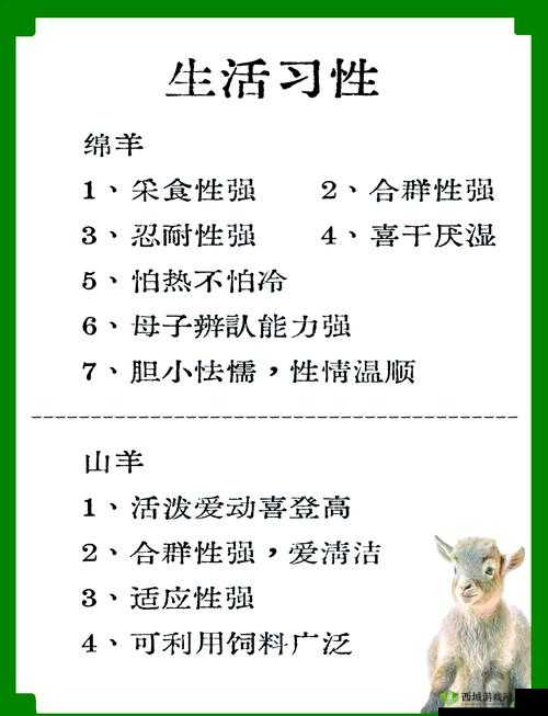 人配羊能好吗？探讨人与羊和谐共处的可能性与实际效果分析