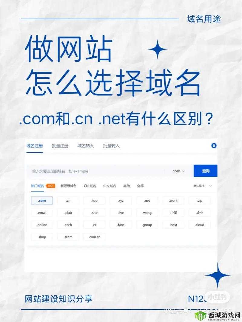 tai9com域名是什么？它有何特殊之处？快来一探究竟吧