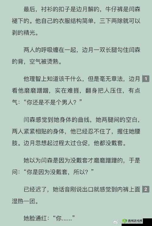 白洁王申高义小说在线阅读：一段禁忌的爱情故事