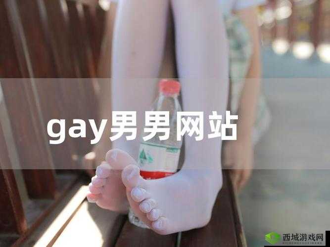 探索男同Gay片GV网站的最新热门内容：深度解析2023年最受欢迎的男同影片推荐与观看指南